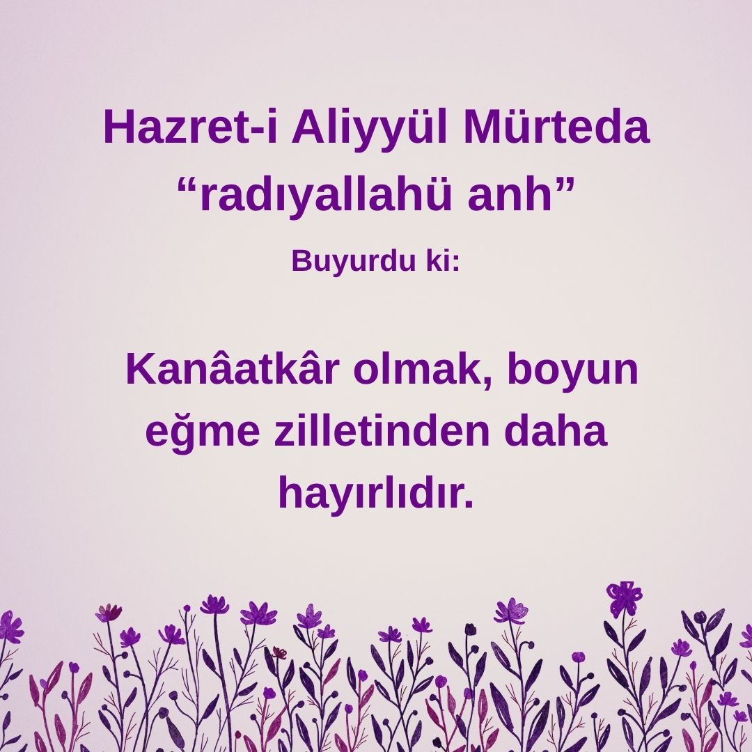 Aliyyül Mürteda (46)